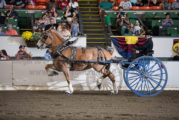 2019BigE_09292019_SCL_9509