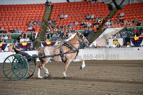 2019BigE_09292019_SCL_9514