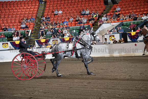 2019BigE_09292019_SCL_9516
