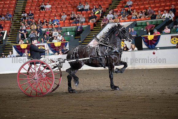 2019BigE_09292019_SCL_9519