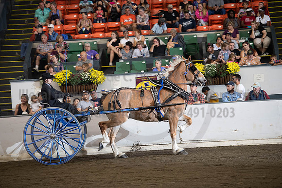 2019BigE_09292019_SCL_9520
