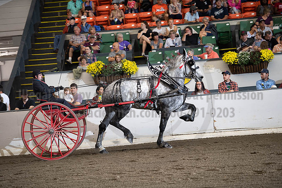 2019BigE_09292019_SCL_9522