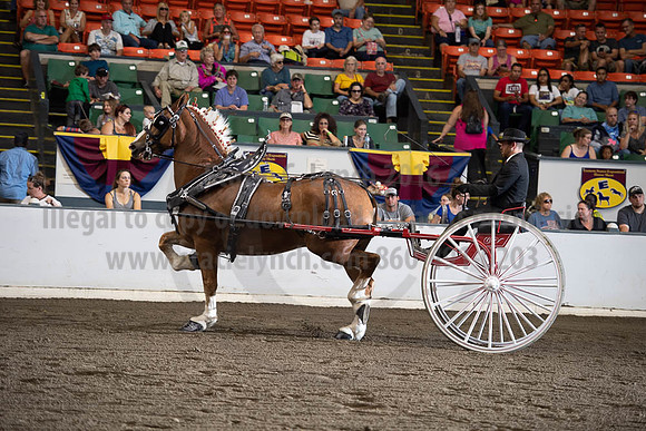 2019BigE_09292019_SCL_9531