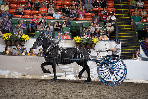 2019BigE_09292019_SCL_9537