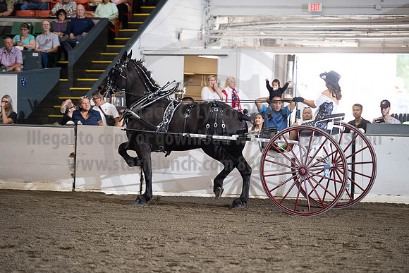 2019BigE_09292019_SCL_9540