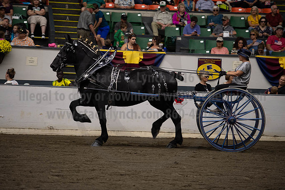 2019BigE_09292019_SCL_9545