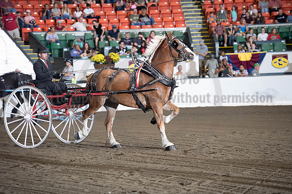 2019BigE_09292019_SCL_9548