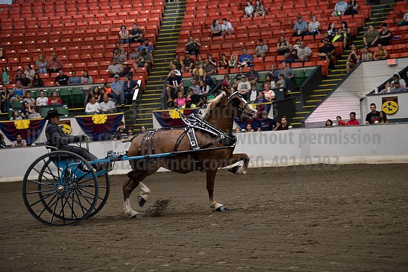2019BigE_09292019_SCL_9552