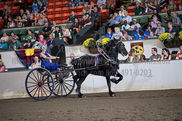 2019BigE_09292019_SCL_9556