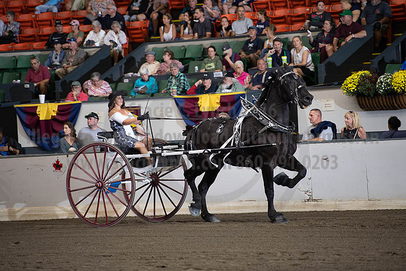 2019BigE_09292019_SCL_9558