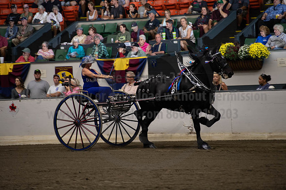 2019BigE_09292019_SCL_9564