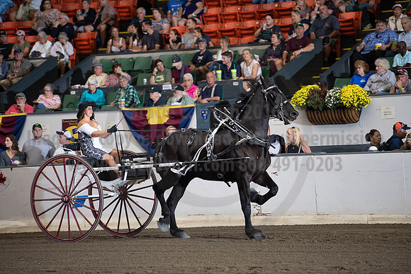 2019BigE_09292019_SCL_9567