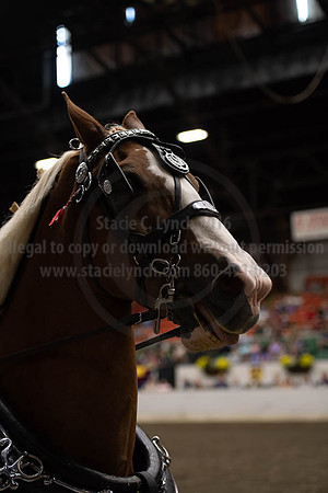 2019BigE_09292019_SCL_9570