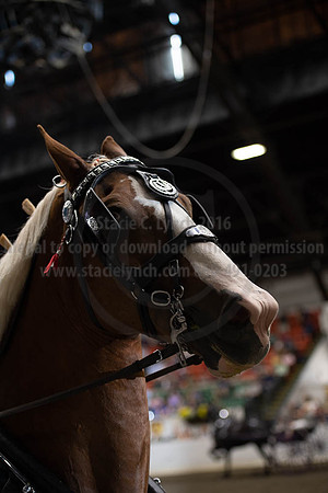 2019BigE_09292019_SCL_9572