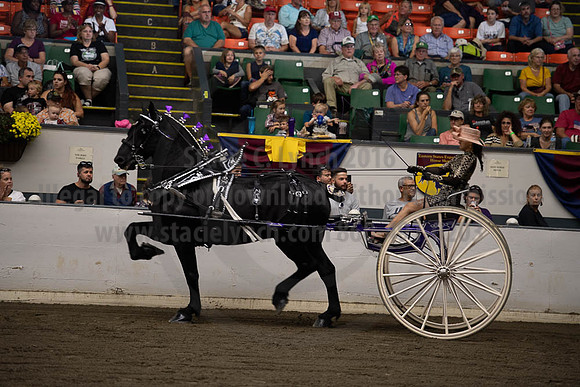 2019BigE_09292019_SCL_9577