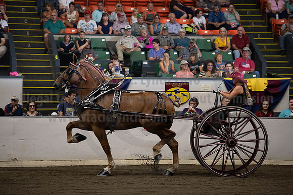 2019BigE_09292019_SCL_9579