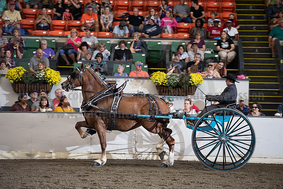 2019BigE_09292019_SCL_9582