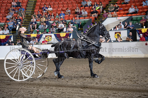 2019BigE_09292019_SCL_9585