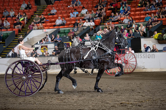 2019BigE_09292019_SCL_9587