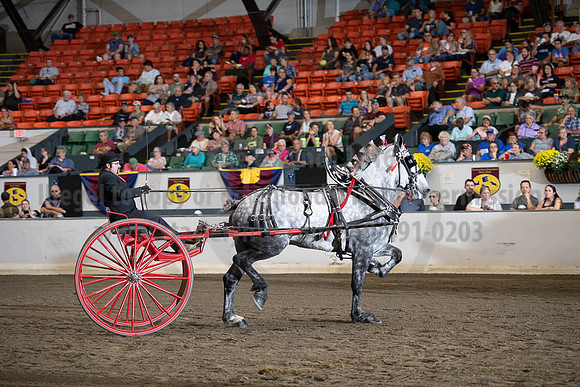 2019BigE_09292019_SCL_9592
