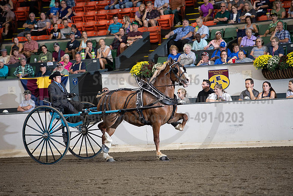 2019BigE_09292019_SCL_9593