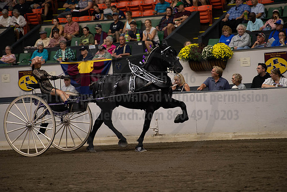 2019BigE_09292019_SCL_9595