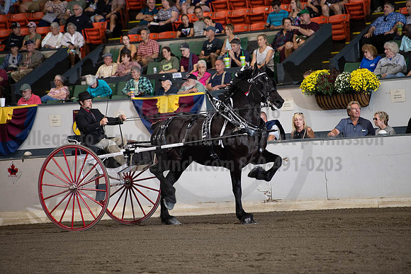 2019BigE_09292019_SCL_9600