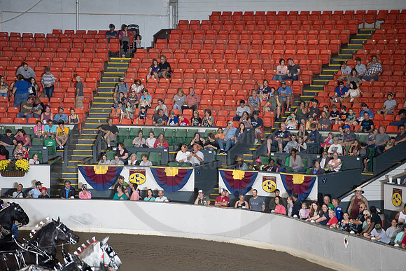 2019BigE_09292019_SCL_9608