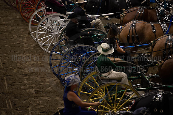 2019BigE_09292019_SCL_9607