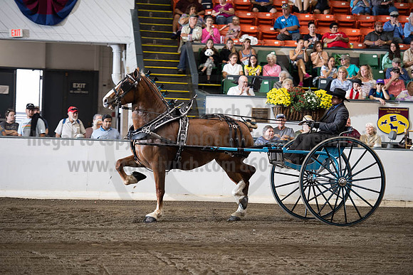 2019BigE_09292019_SCL_9613