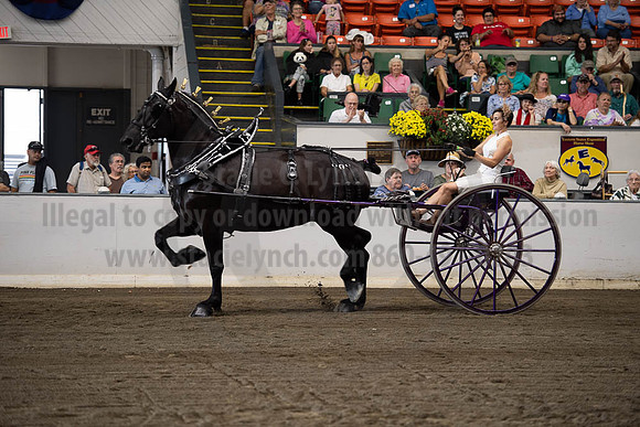 2019BigE_09292019_SCL_9614