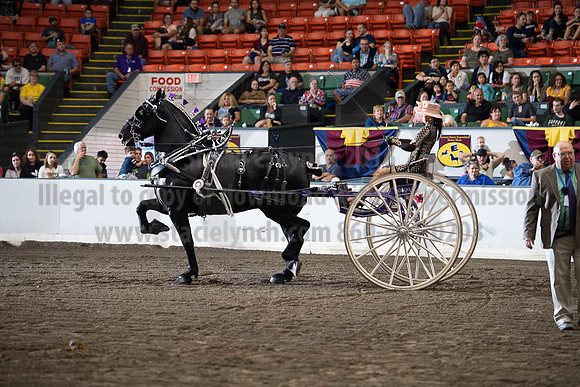 2019BigE_09292019_SCL_9618