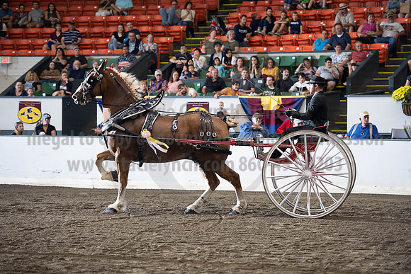 2019BigE_09292019_SCL_9619