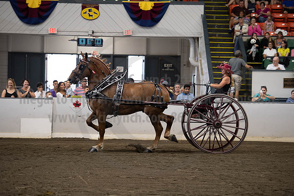 2019BigE_09292019_SCL_9620
