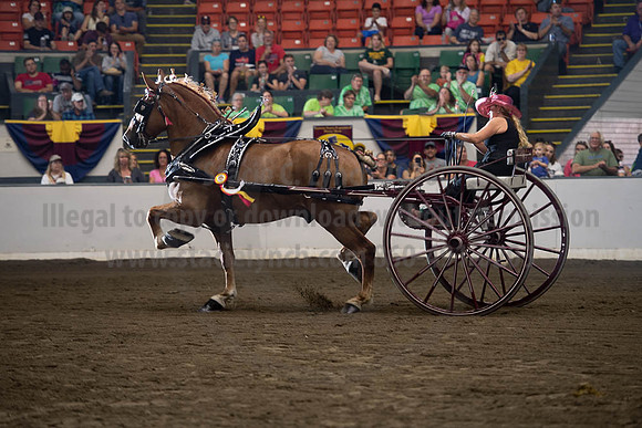 2019BigE_09292019_SCL_9624