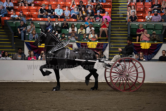 2019BigE_09292019_SCL_9626