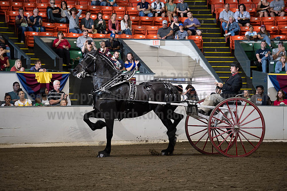 2019BigE_09292019_SCL_9627
