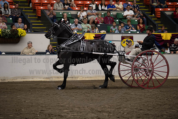 2019BigE_09292019_SCL_9628
