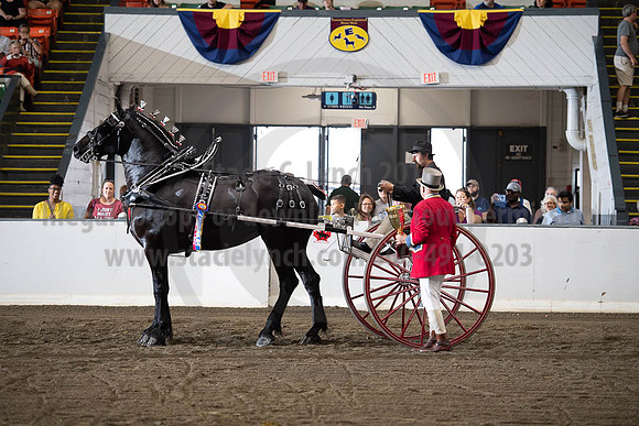 2019BigE_09292019_SCL_9630