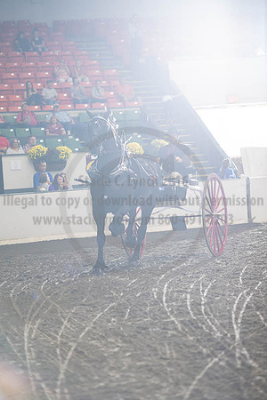 2019BigE_09292019_SCL_9631