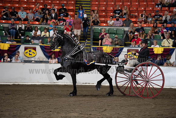 2019BigE_09292019_SCL_9635