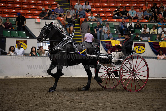 2019BigE_09292019_SCL_9636