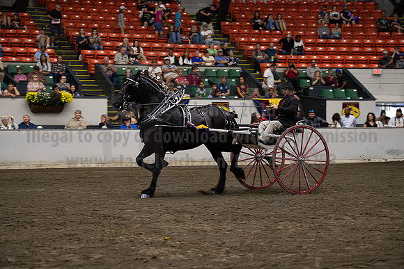2019BigE_09292019_SCL_9637