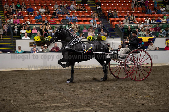 2019BigE_09292019_SCL_9638