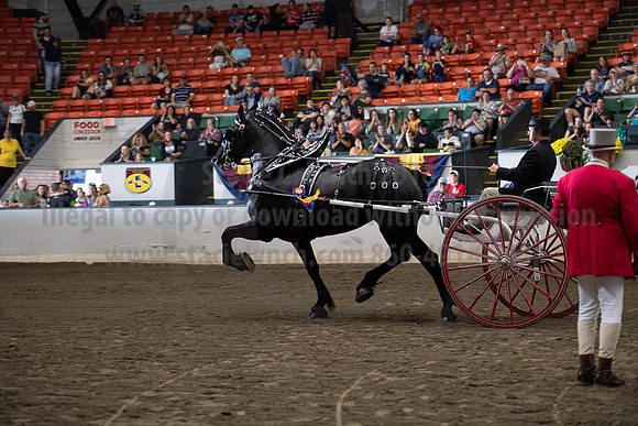 2019BigE_09292019_SCL_9641