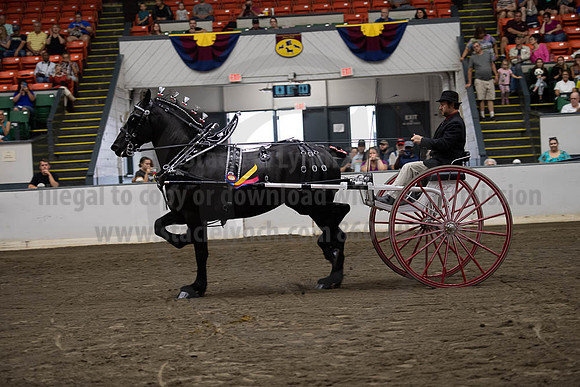 2019BigE_09292019_SCL_9640