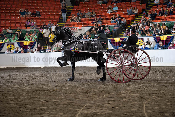 2019BigE_09292019_SCL_9642