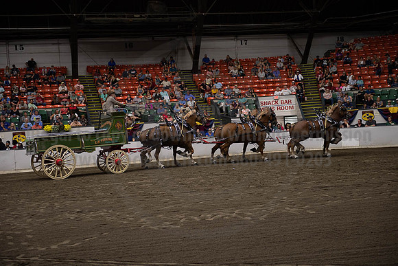 2019BigE_09292019_SCL_0002