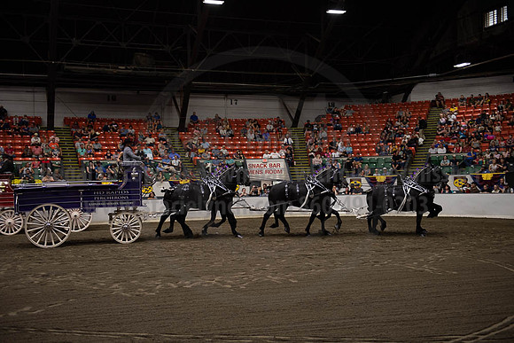 2019BigE_09292019_SCL_0001