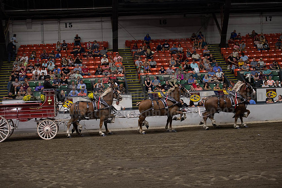 2019BigE_09292019_SCL_0011